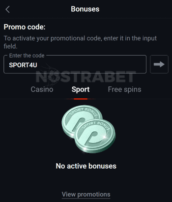 Pin Up bonus code enter